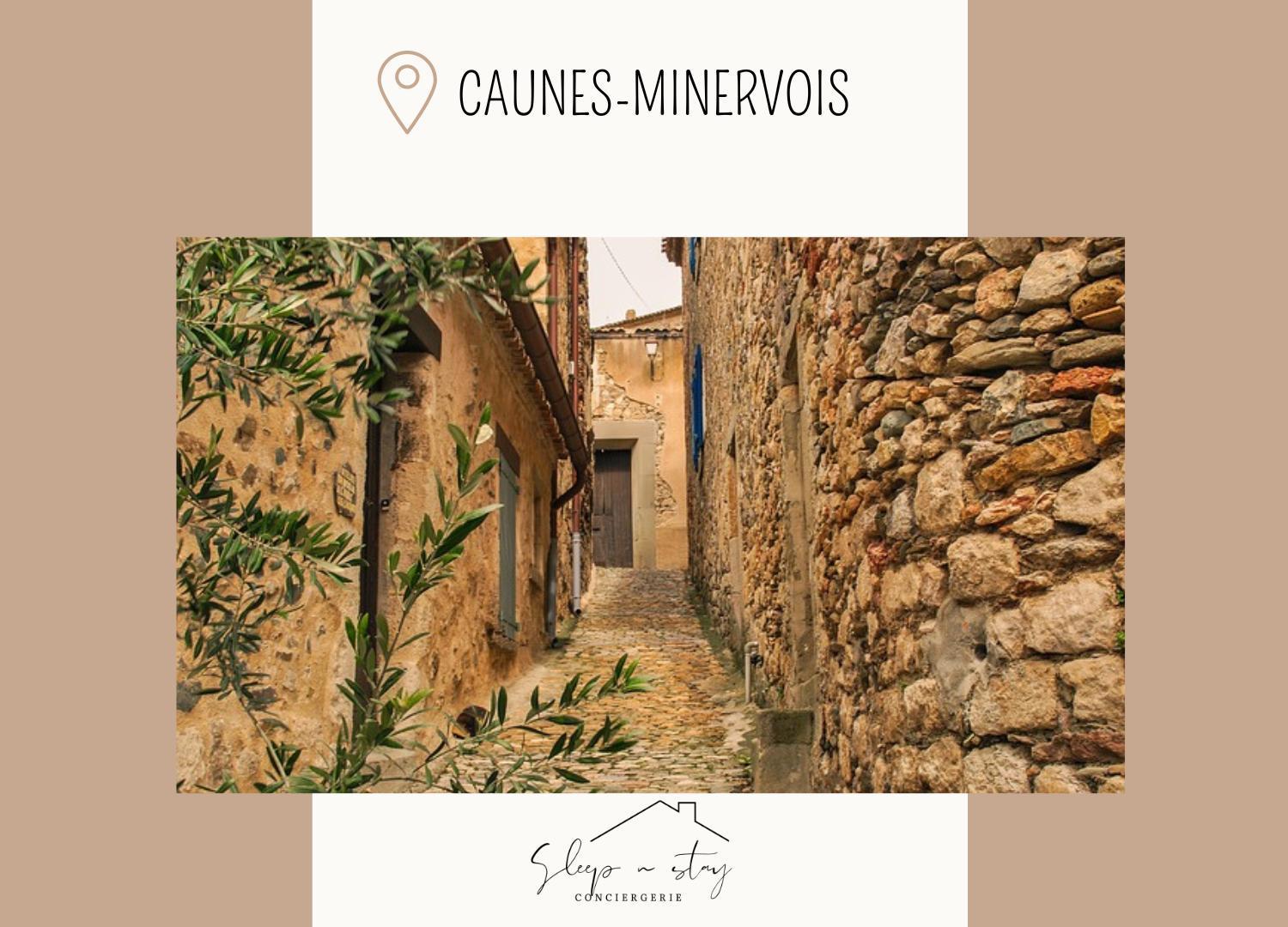 Apartment La Terasse Carcassonne Dış mekan fotoğraf